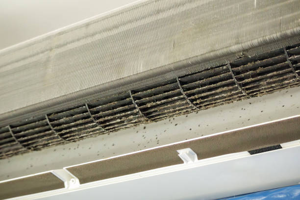 Best Dryer Vent Cleaning Services  in Lemoore Station, CA